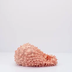 Mujer BUNZABURO Bolsos-BOLSO - - MINI-MINI PETIT BAG PINK