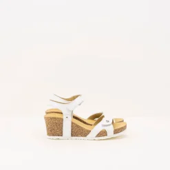 Mujer PANAMA JACK Sandalias-SANDALIA - - JULIA BASICS B17 NAPA