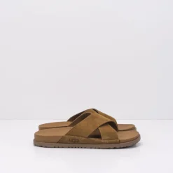 Hombre UGG Sandalias-SANDALIA - - WAINSCOTT SLIDE CHESNUT